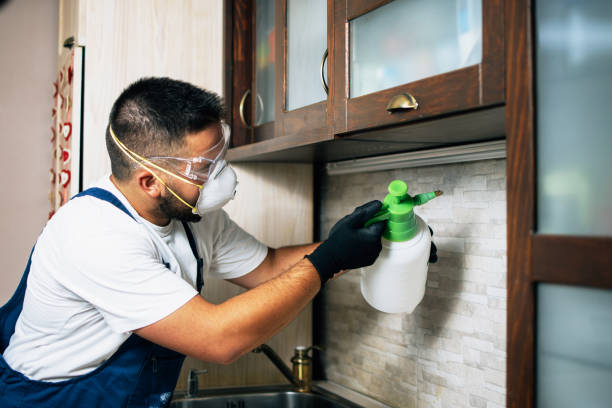 Best Pest Control Near Me  in Groesbeck, OH