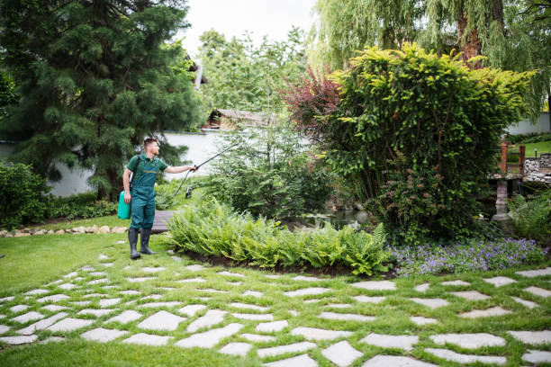 Best Pest Inspection Near Me  in Groesbeck, OH