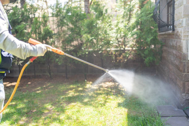 Best Local Pest Control Services  in Groesbeck, OH