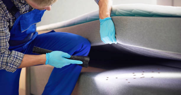 Best Exterminator Services  in Groesbeck, OH