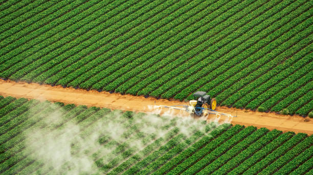 Best Ant Control Services  in Groesbeck, OH