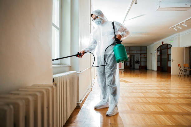 Best Flea Control Services  in Groesbeck, OH